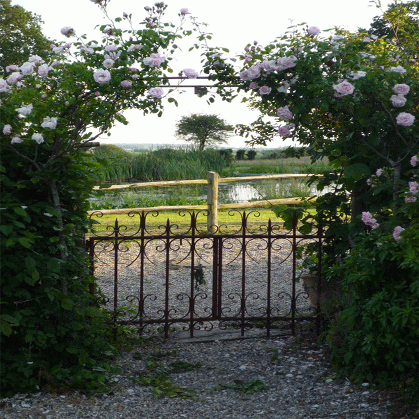 Le Pré Rainette