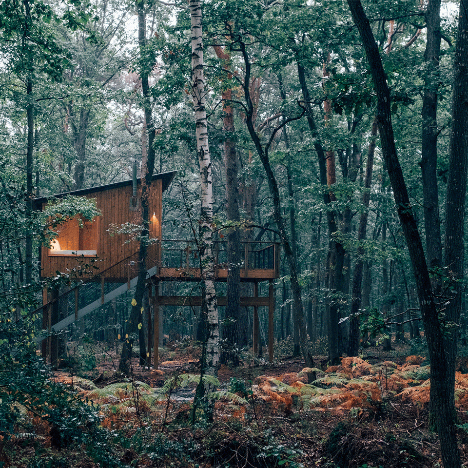 Youza Ecolodge