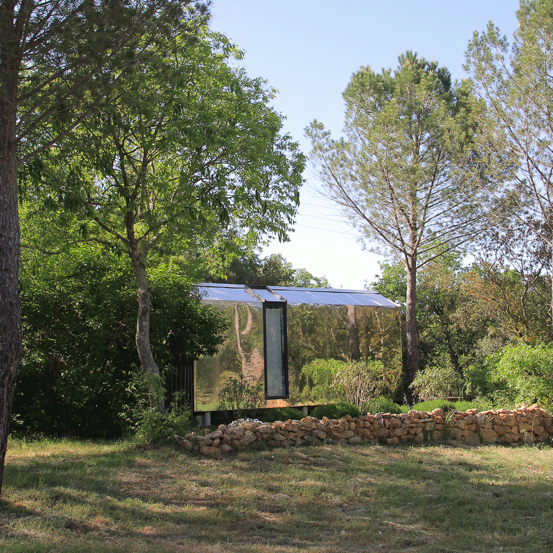 Cyprès de toi