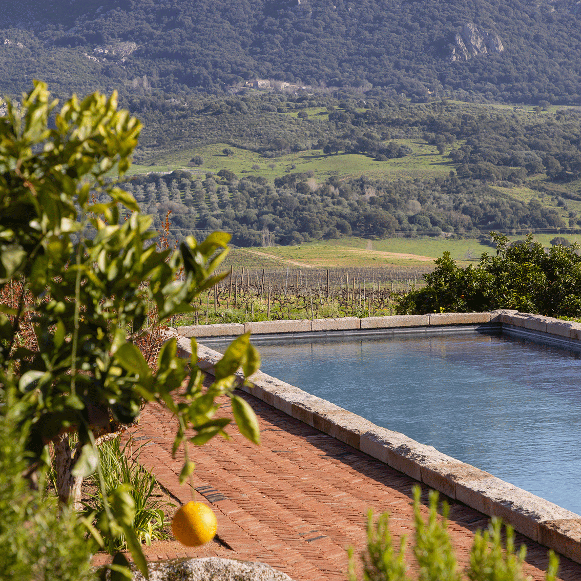 Hameau de Saparale